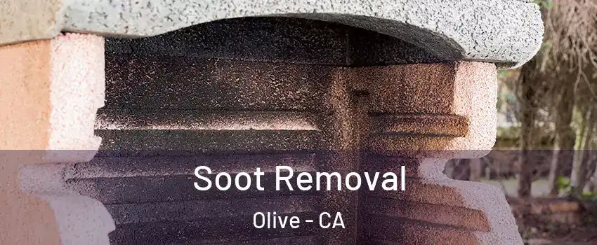 Soot Removal Olive - CA