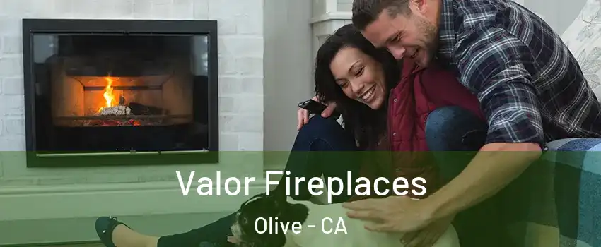 Valor Fireplaces Olive - CA