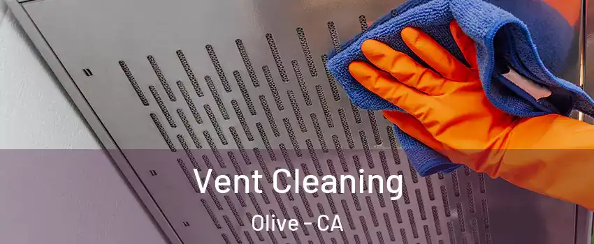 Vent Cleaning Olive - CA