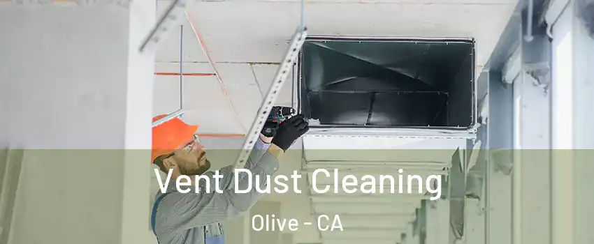 Vent Dust Cleaning Olive - CA