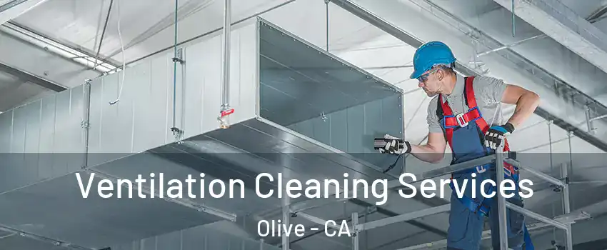 Ventilation Cleaning Services Olive - CA