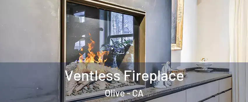 Ventless Fireplace Olive - CA