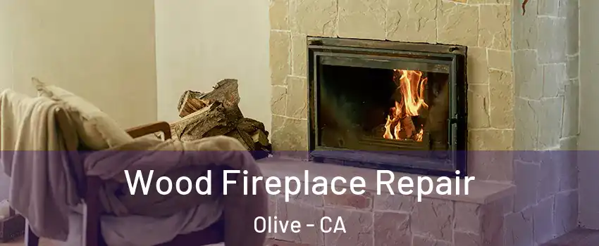 Wood Fireplace Repair Olive - CA