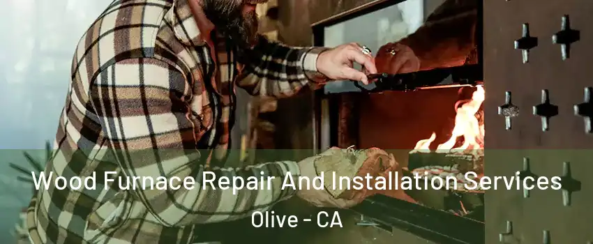 Wood Furnace Repair And Installation Services Olive - CA