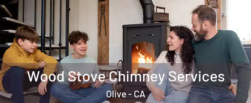 Wood Stove Chimney Services Olive - CA