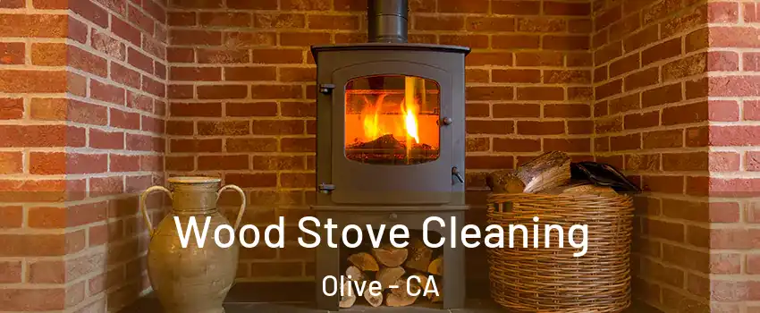 Wood Stove Cleaning Olive - CA