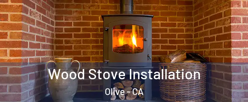 Wood Stove Installation Olive - CA