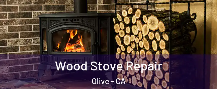 Wood Stove Repair Olive - CA